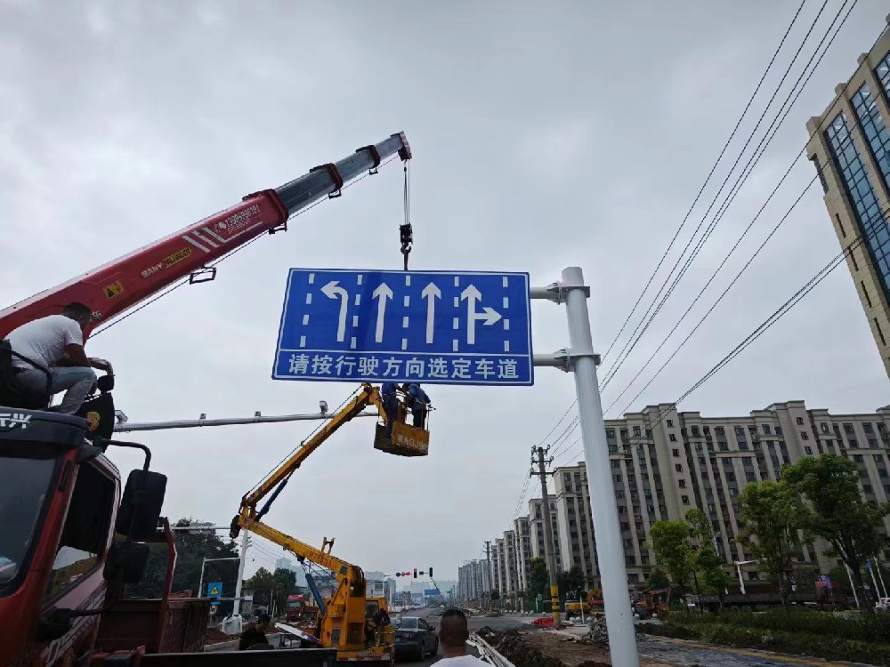 养生大道    道路指向标志牌